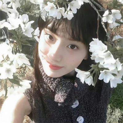 高山流水觅知音